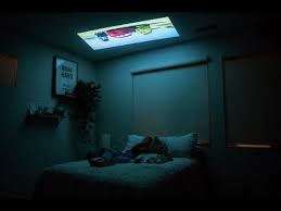 best projector for ceiling viewing