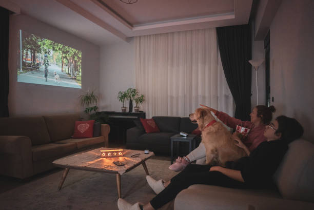 projector cheap